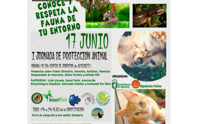 I Jornada de Protección Animal