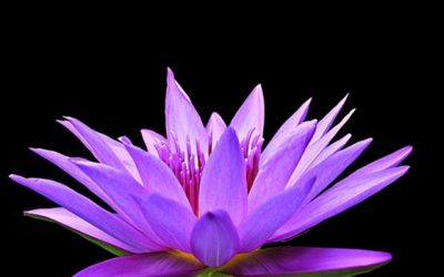 Retiro de Meditación, Voz, Sonido y Cuerpo