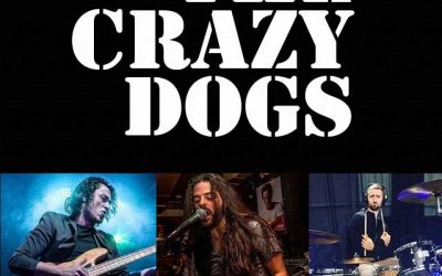 The Crazy Dogs