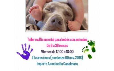 Taller: “Bebés y mascotas”