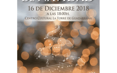 Concierto de Navidad: Asociación Cultural AdManum