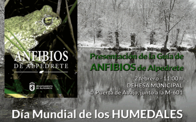 Presentación de la Guía de Anfibios. Día Mundial de los Humedales.