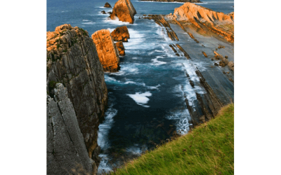 Federico de Haro: “Mundos Naturales”
