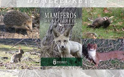 Presentación: Guía Mamíferos de Alpedrete.