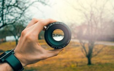 Exposición: Taller de Fotografía de Alpedrete.