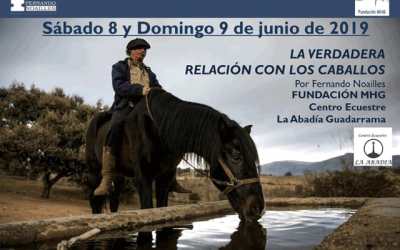 “La verdadera relación con los caballos”, con Fernardo Noailles.