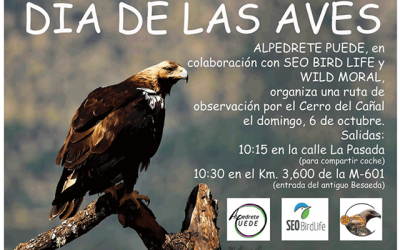 Ruta de observación de aves.