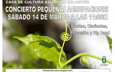 Concierto pequeñas agrupaciones: EMMD de Alpedrete.