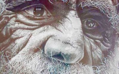 José Luís López Arnaldo: «Esencia en blanco y negro»