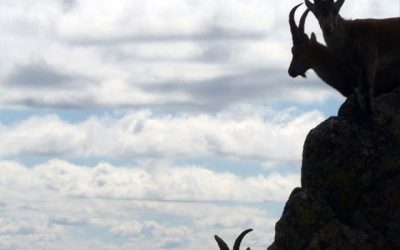 La Sierra de Guadarrama, uno de los mejores espacios a los que ir tras la crisis del coronavirus.