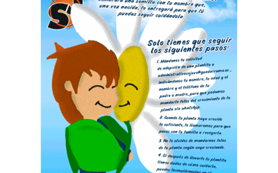 Adopta una planta…