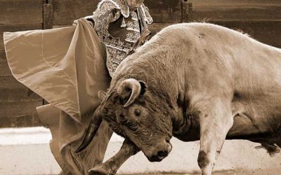 Exposición virtual: XX Concurso de fotografía taurina (2019).