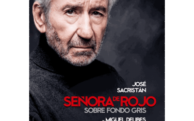 “Señora de rojo sobre fondo gris”, de Delibes.