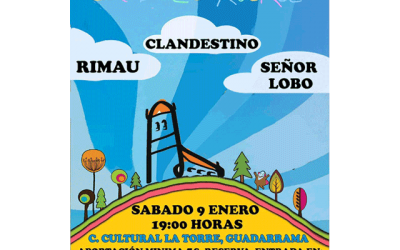 Concierto solidario