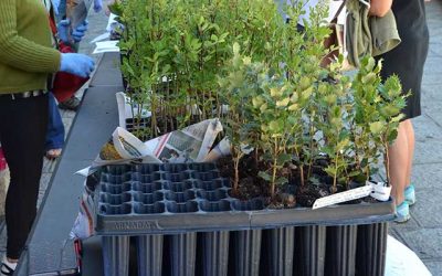 Día Mundial del Medio Ambiente (2021), en Guadarrama.