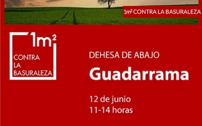 Unidos contra la basuraleza, en Guadarrama.