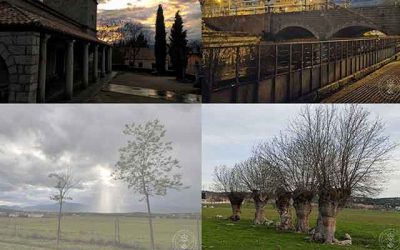 Exposición: I Muestra Digital de Fotografía con Móvil (2021)