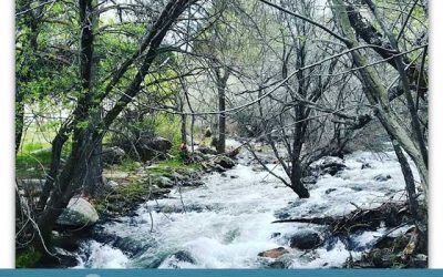 ¡Ayúdanos a conservar los ríos!: Restauración ecológica de la Cuenca Alta del río Manzanares.