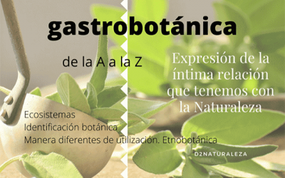 Taller: “Gastrobotánica, de la A a la Z”