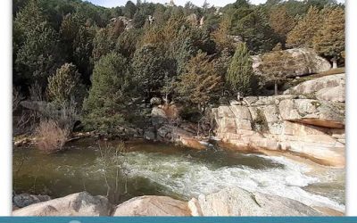 Día Mundial del Agua: La Recuperación Ecológica del Río Manzanares